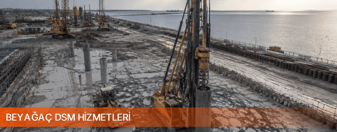 Beyağaç DSM Uygulaması