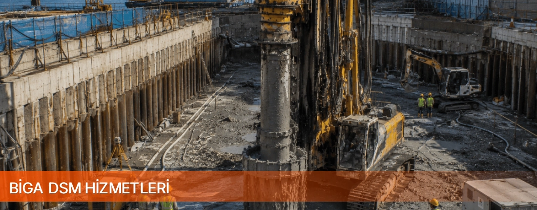 Biga DSM Uygulaması